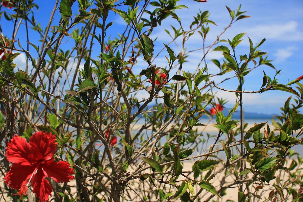 Morning Star Resort Baan Tai Εξωτερικό φωτογραφία